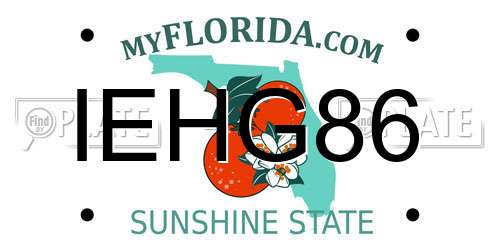 IEHG86 Florida License Plate