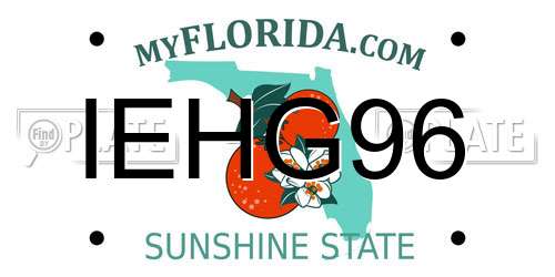 IEHG96 Florida License Plate