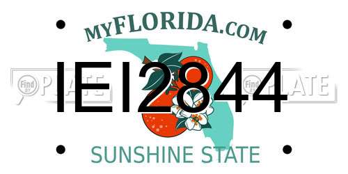 IEI2844 Florida License Plate