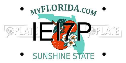 IEI7P Florida License Plate