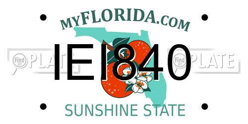 IEI840 Florida License Plate