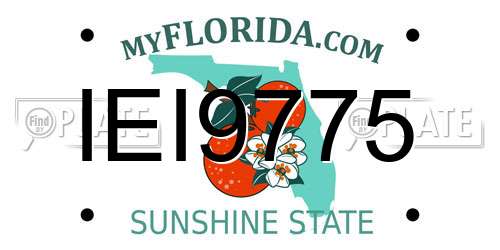 IEI9775 Florida License Plate