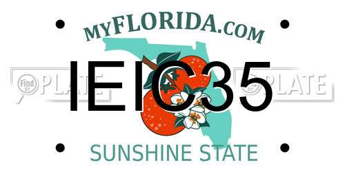IEIC35 Florida License Plate