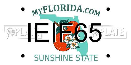 IEIF65 Florida License Plate