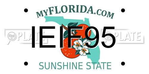 IEIF95 Florida License Plate