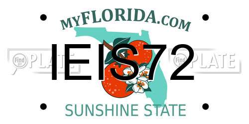 IEIS72 Florida License Plate