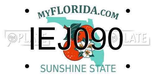 IEJ090 Florida License Plate