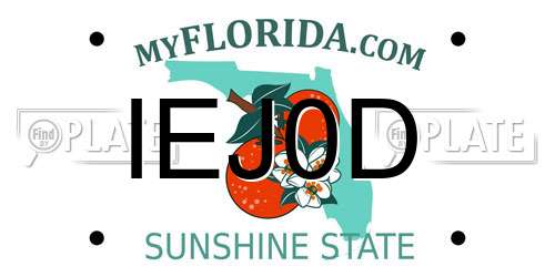 IEJ0D Florida License Plate