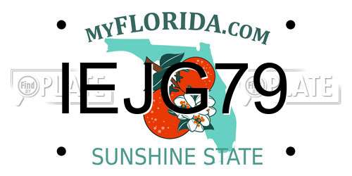 IEJG79 Florida License Plate