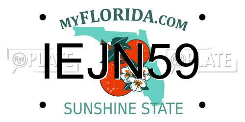 IEJN59 Florida License Plate