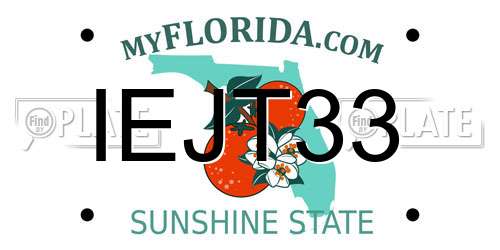IEJT33 Florida License Plate