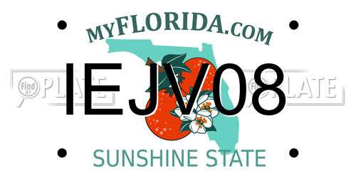 IEJV08 Florida License Plate