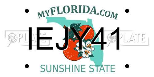 IEJY41 Florida License Plate
