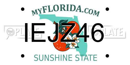 IEJZ46 Florida License Plate