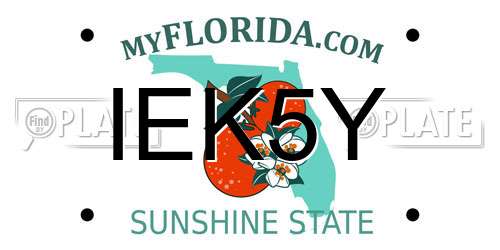 IEK5Y Florida License Plate