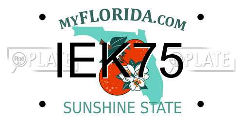 IEK75 Florida License Plate