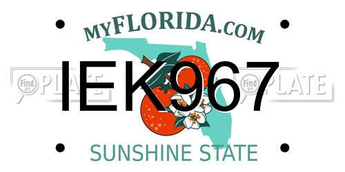 IEK967 Florida License Plate