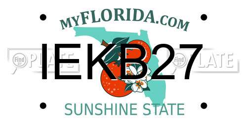 IEKB27 Florida License Plate