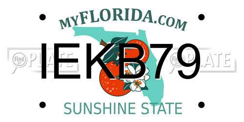 IEKB79 Florida License Plate