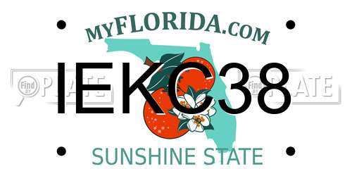 IEKC38 Florida License Plate