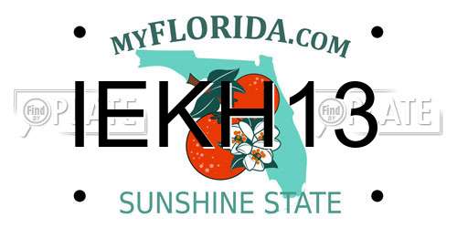 IEKH13 Florida License Plate