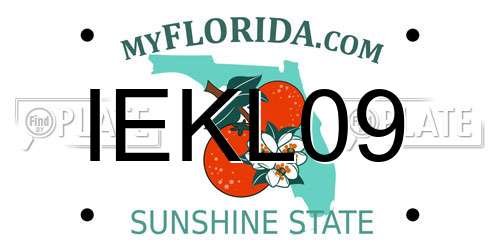 IEKL09 Florida License Plate