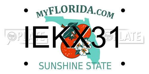 IEKX31 Florida License Plate