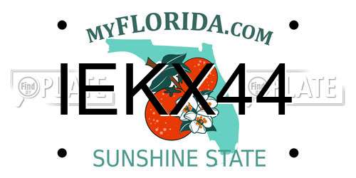 IEKX44 Florida License Plate