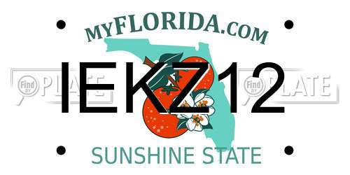 IEKZ12 Florida License Plate