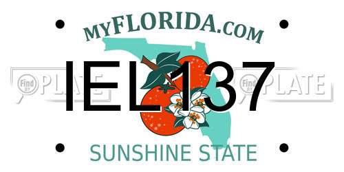 IEL137 Florida License Plate
