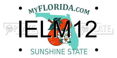 IELM12 Florida License Plate