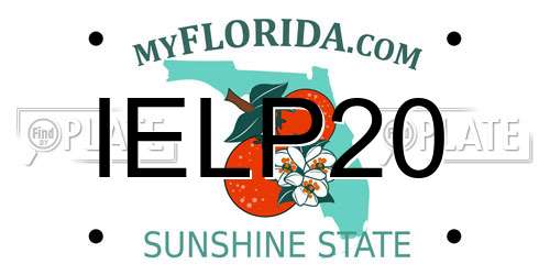 IELP20 Florida License Plate