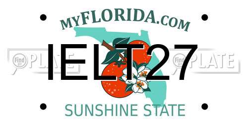 IELT27 Florida License Plate