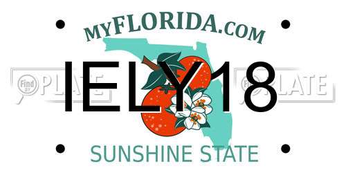 IELY18 Florida License Plate
