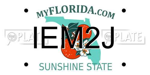 IEM2J Florida License Plate