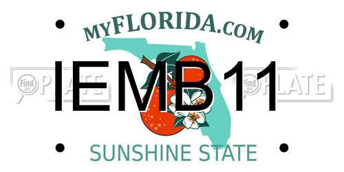 IEMB11 Florida License Plate