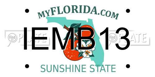 IEMB13 Florida License Plate