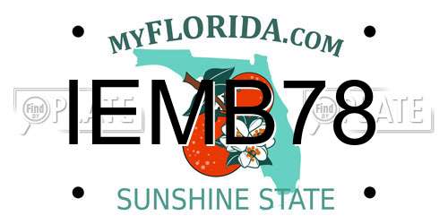 IEMB78 Florida License Plate