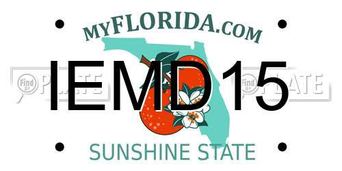 IEMD15 Florida License Plate