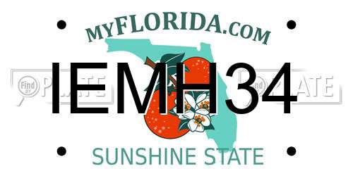 IEMH34 Florida License Plate