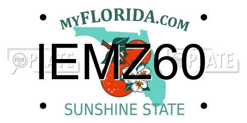 IEMZ60 Florida License Plate