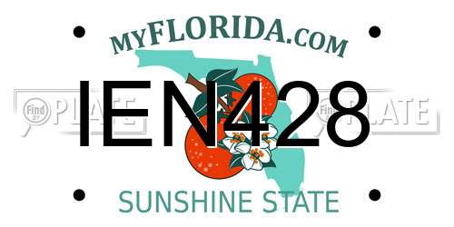 IEN428 Florida License Plate