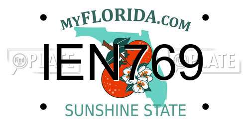 IEN769 Florida License Plate