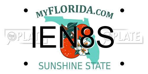 IEN8S Florida License Plate