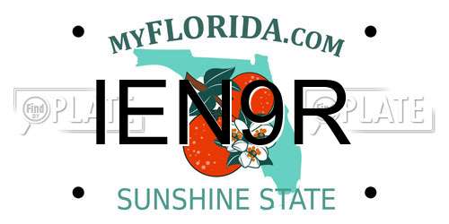 IEN9R Florida License Plate