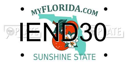 IEND30 Florida License Plate