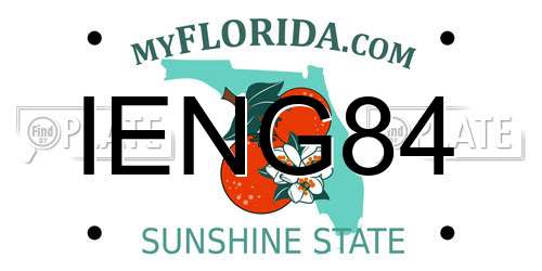 IENG84 Florida License Plate