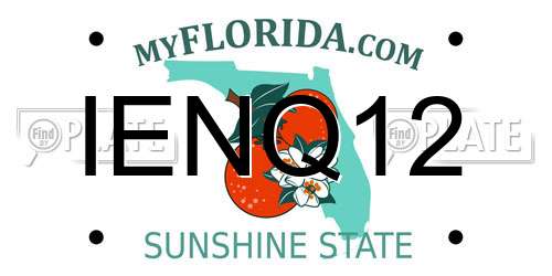 IENQ12 Florida License Plate