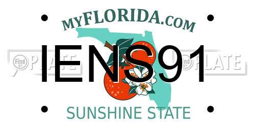 IENS91 Florida License Plate