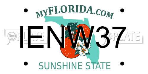 IENW37 Florida License Plate